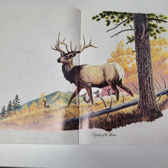 Arizona Highways Artwork Magazine February 1976 Larry Toschik Bobcat Deer Fawn - Picture 6 of 11